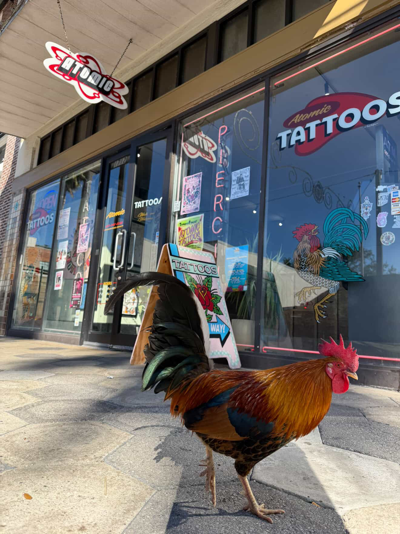 Ybor City chicken
