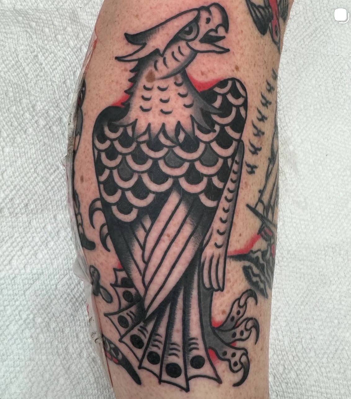 Traditional eagle tattoo by Jake