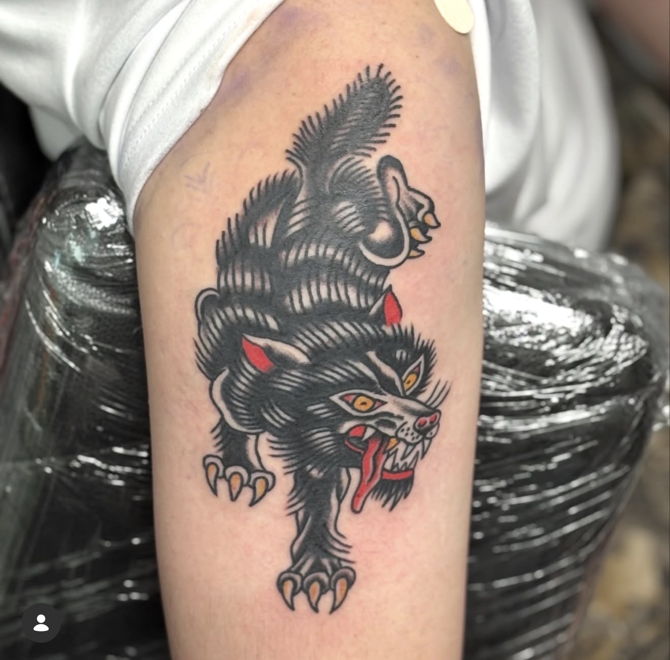 Traditional wolf tattoo by Beau